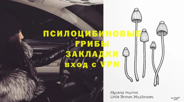 MESCALINE Магадан