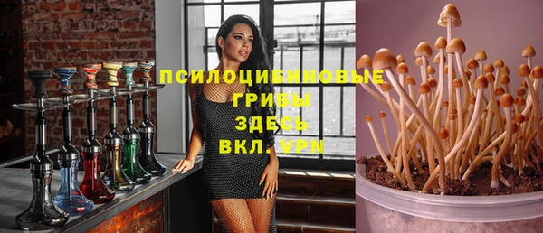 MESCALINE Магадан