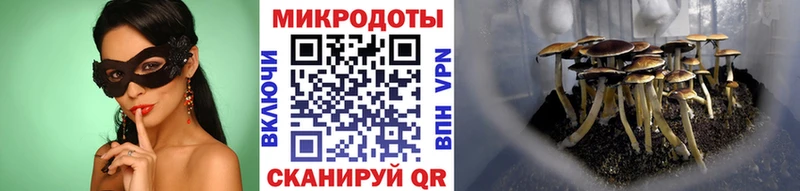 дарнет шоп  Новая Ляля  Псилоцибиновые грибы Magic Shrooms 