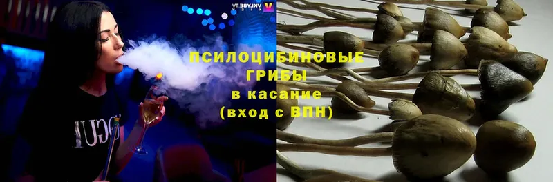 Псилоцибиновые грибы ЛСД  Новая Ляля 